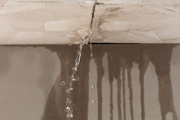 Professional Water Damage Repair technician working in Hackettstown, NJ